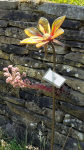 Artists/Images/ResizedSquare150/danny beinsberger_image_bloem 5.jpg